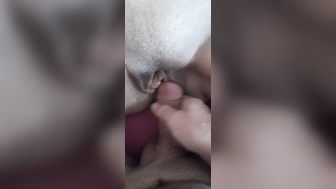 Die geile Muschi meiner Frau bearbeitet