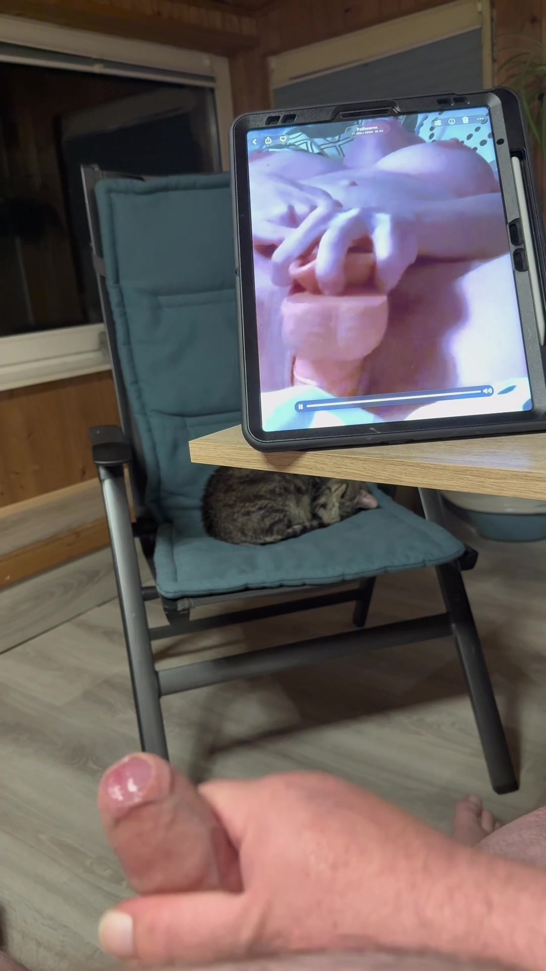 MSV Videos Besamen