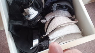 Auf die geilen Tangas der 18jährigen Stieftochter eines gewichst