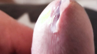 Meine feuchte Eichel