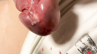 Ein großes Album von uns für euch!!