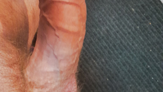 Steifer Schwanz mit dem LKW Unterwegs