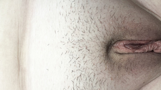 Muschi und Arsch Kollektion