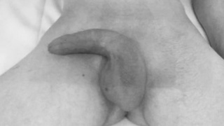 Ein paar Penis Bilder von mir hoffe sie gefallen