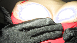 Meine Stute in rotem Lack