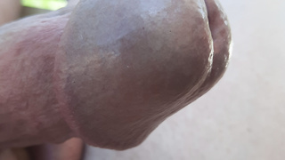 Endlich wieder Sonne auf dem Schwanz