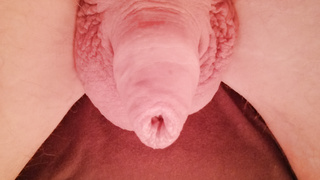 Mein kleiner in verschiedenen Ausführungen