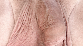 Meinen Schwanz Sonnen ☀️