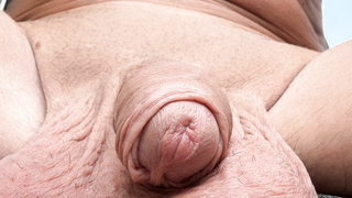 Meinen Schwanz Sonnen ☀️