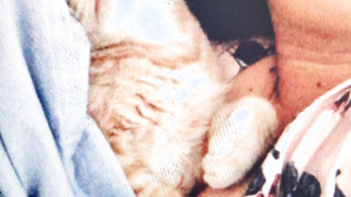 Ganze Sammlung Nacktbilder