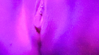 Ganze Sammlung Nacktbilder