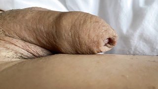 Wacht auf, wacht auf