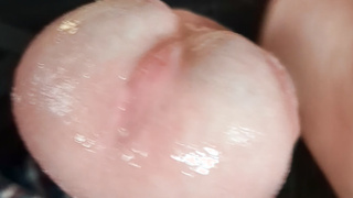 Schöner Schwanz immer geil