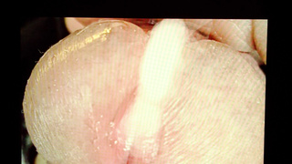 Schöner Schwanz immer geil