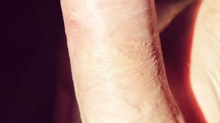 Mehr Bilder der letzten Jahre