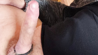 Mehr Bilder der letzten Jahre