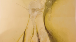 Tribute für meine Freunde