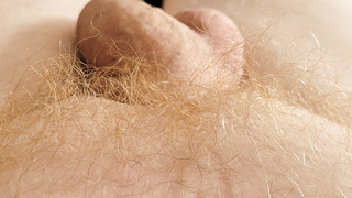 Das bin ich eine kleine Auswahl