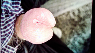 Mal wieder meinen Schwanz zeigen