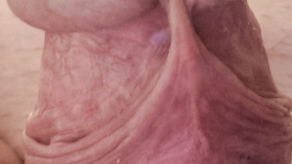 Neue Bilder von meinem Schwanz