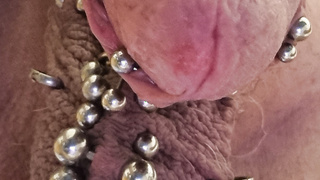 Neue Bilder von meinem Schwanz