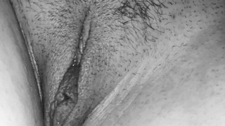 Gespreizte Muschi Bilder