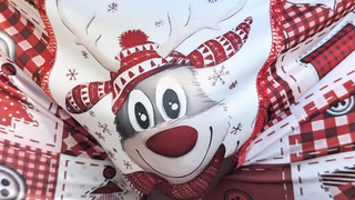 Weihnachten Wünsche euch allen geile Festtage