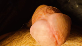 Bilder Album mein kleiner Penis