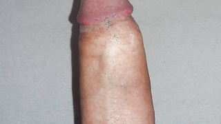 Mein erregter Schwanz