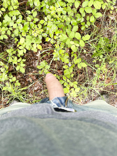 Schwanz in der Natur