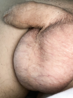 Wacht auf, wacht auf